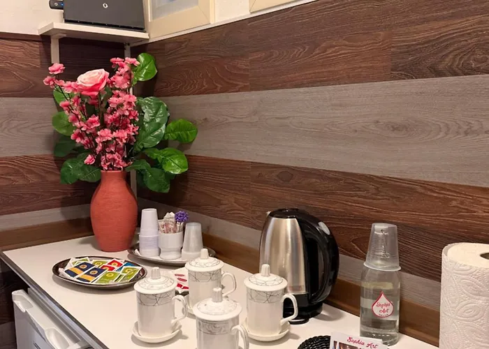 Sophia 게스트하우스